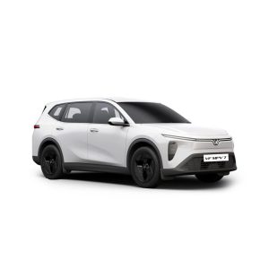 VF MPV 7